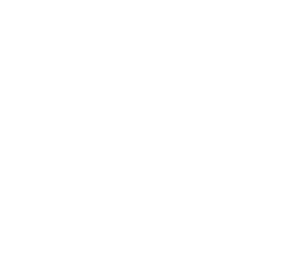 2025 - Animal Spirits - Logo